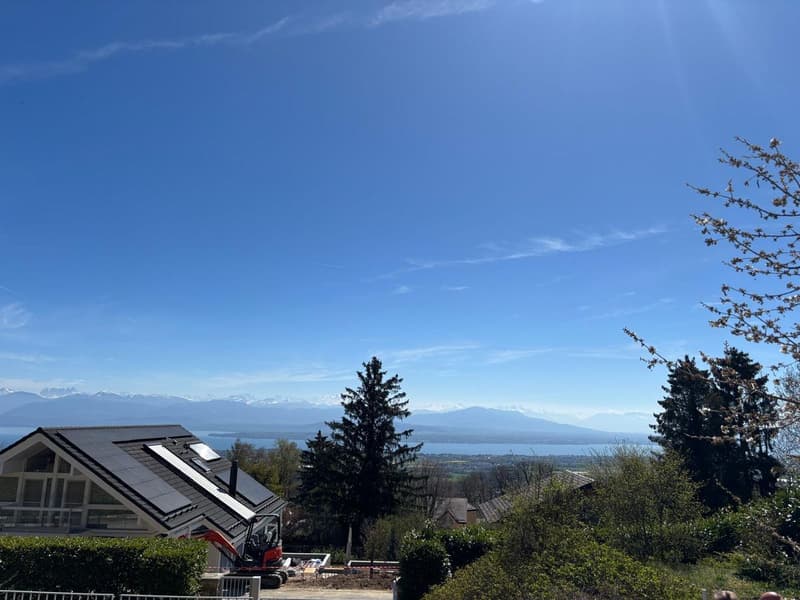 Light and volumes - An exceptional villa facing Lake Geneva (3)