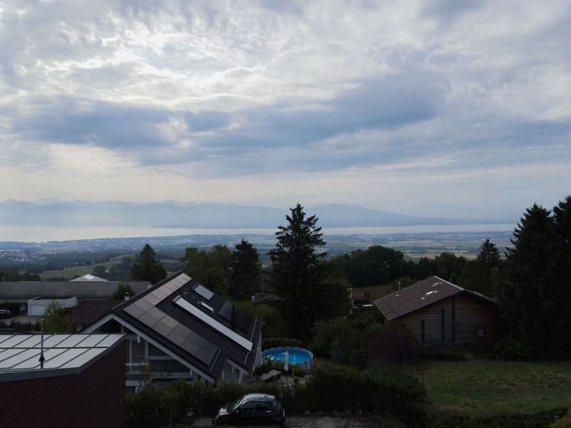 Light and volumes - An exceptional villa facing Lake Geneva (6)