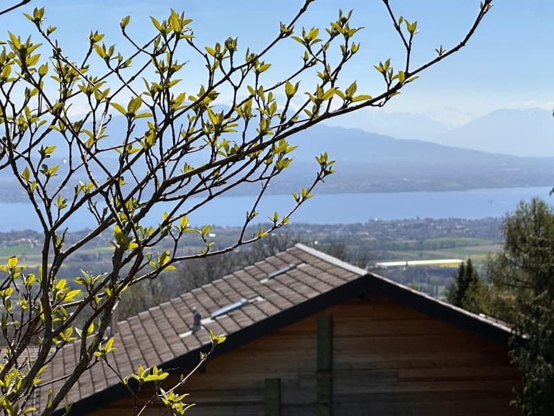 Light and volumes - An exceptional villa facing Lake Geneva (2)