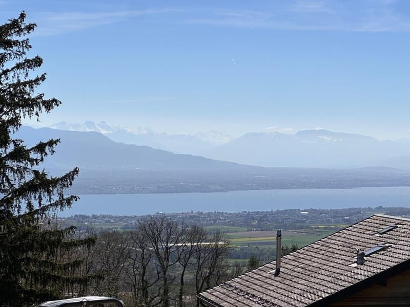 Light and volumes - An exceptional villa facing Lake Geneva (1)
