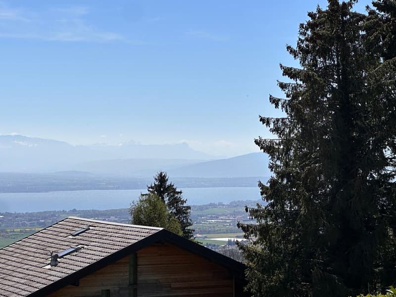 Light and volumes - An exceptional villa facing Lake Geneva (4)