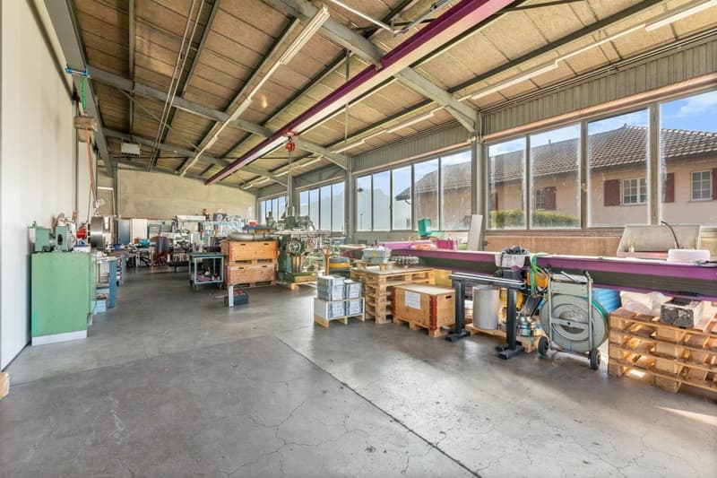 Exceptional property in industrial area with three apartments and a workshop (2)