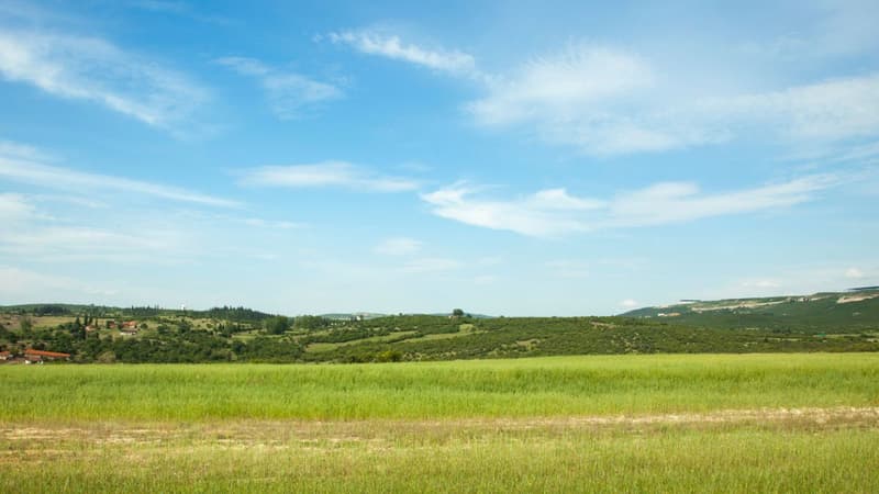 Baugrundstück mit oder ohne Baugenehmigung (3)