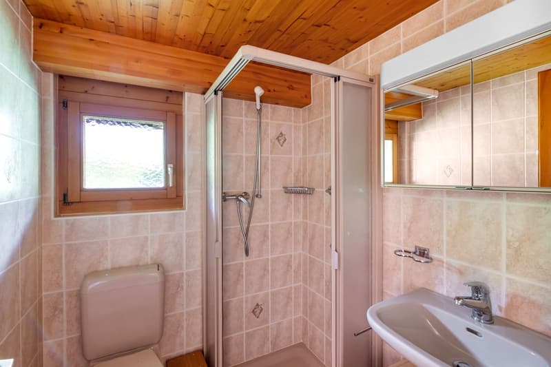Chalet in the heart of Marécottes, close to the ski station with large grounds (9)