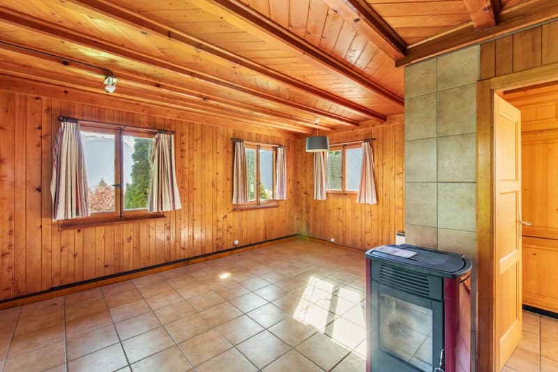 Chalet in the heart of Marécottes, close to the ski station with large grounds (4)