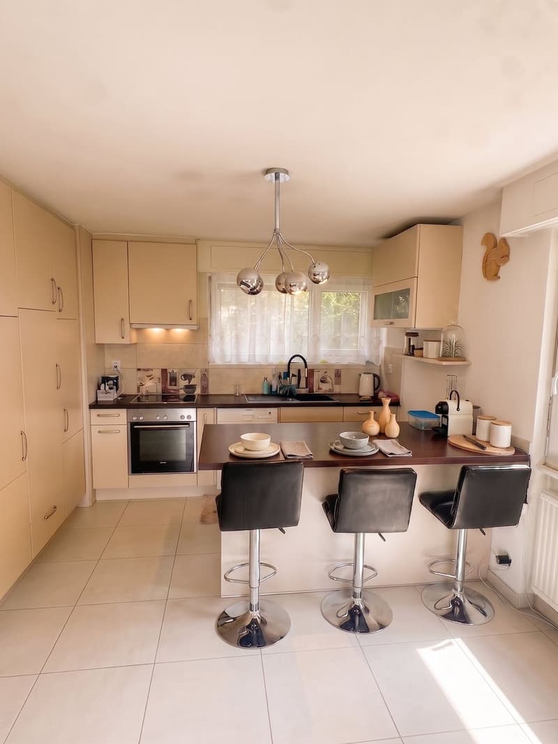 House close to amenities and the center of Fribourg renovated (7)
