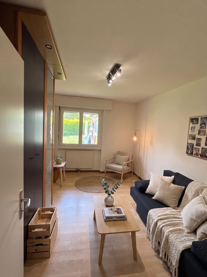 House close to amenities and the center of Fribourg renovated (8)