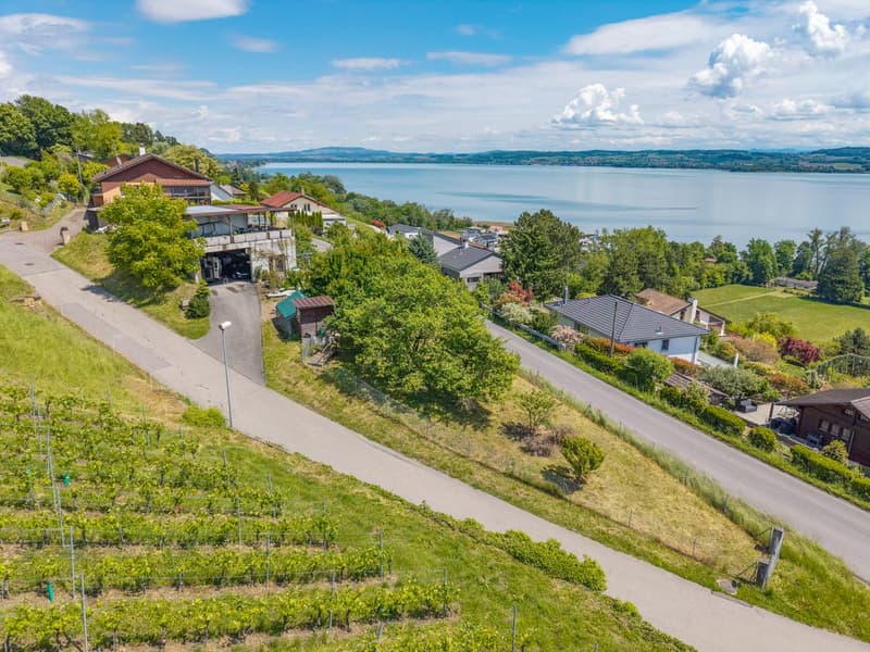 Magnifique terrain avec vue sur le lac de Morat et la possibilité de construire appartement ou maison (9)