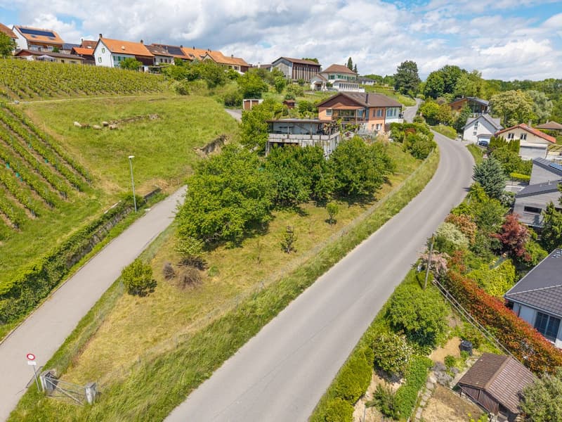 Magnifique terrain avec vue sur le lac de Morat et la possibilité de construire appartement ou maison (4)