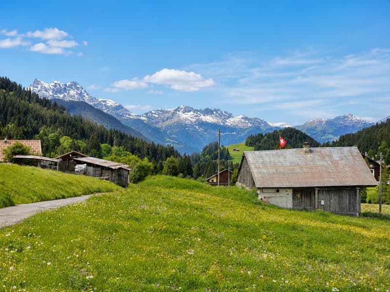 Baugrundstück von 1582 m² im Zentrum von Les Mosses - Ormont-Dessous (VD), Waadtländer Alpen (1)