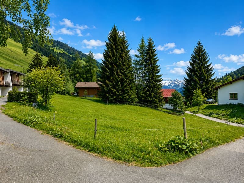 Baugrundstück von 1582 m² im Zentrum von Les Mosses - Ormont-Dessous (VD), Waadtländer Alpen (3)