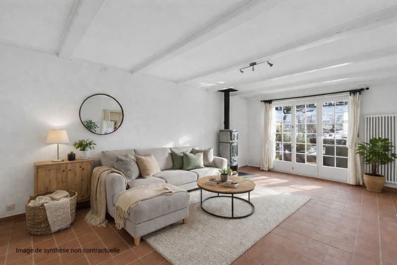 Charmante maison contiguë avec cachet (6)