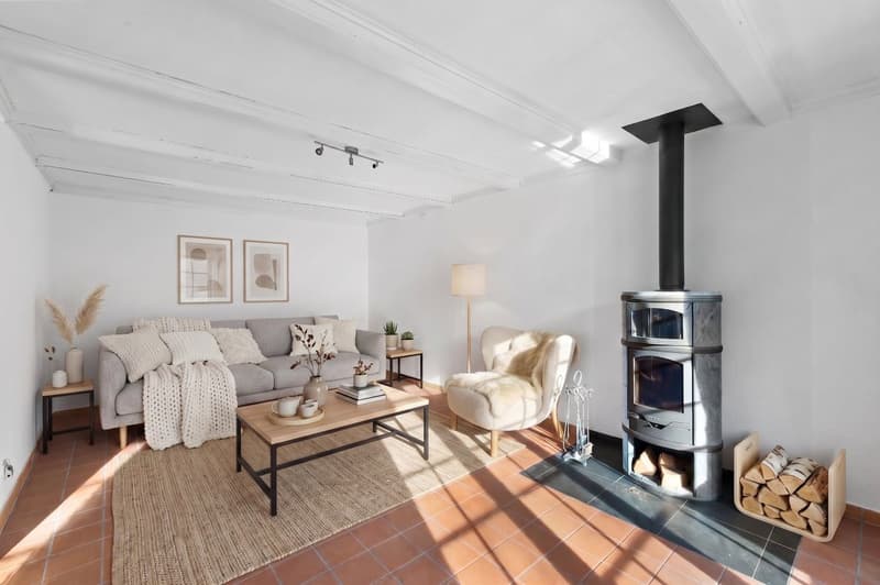 Charmante maison contiguë avec cachet (4)