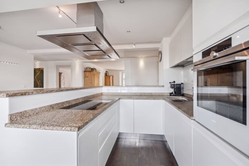 Un appartement de caractère de 5.5 pièces où le charme de l'ancien rencontre le confort du contemporain (7)