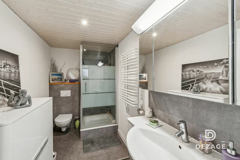 Villa with lake view, completely renovated and divided into several apartments (9)