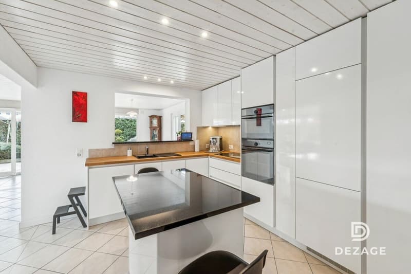 Villa with lake view, completely renovated and divided into several apartments (8)