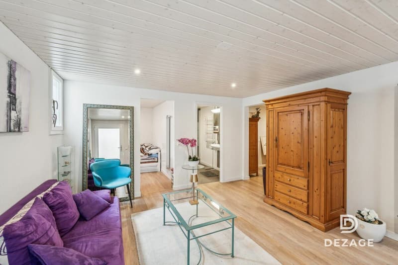Villa with lake view, completely renovated and divided into several apartments (5)