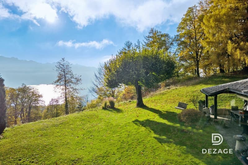 Maison de charme à Blonay sur terrain de 13'000m2 vue lac et montagne (3)