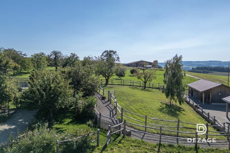 Fattoria ristrutturata con strutture equestri e reddito energetico, a 5 minuti da Lucens (20)