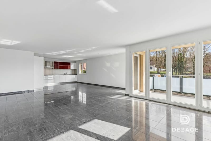 Grande appartamento familiare con balcone coperto e vista sul castello di Oron! (4)