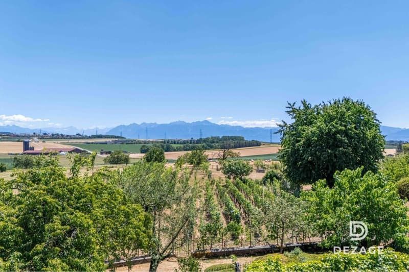 Wohnung mit Charakter und Panoramablick sowie Garten im Herzen des Dorfes! (2)