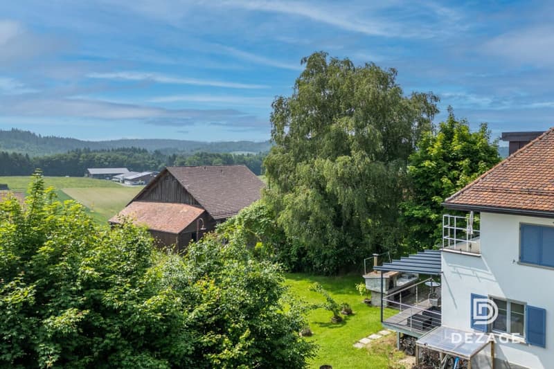 Magnificent renovated bourgeois house in Froideville (3)