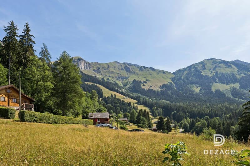 Charming holiday chalet in an idyllic setting in Corbeyrier (13)