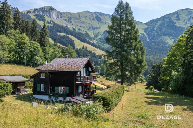 Charming holiday chalet in an idyllic setting in Corbeyrier (11)