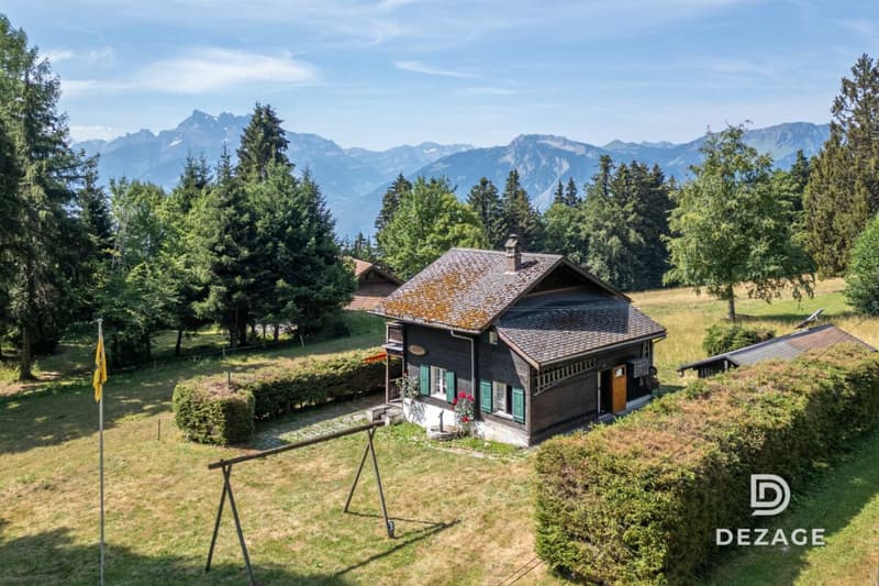 Charming holiday chalet in an idyllic setting in Corbeyrier (2)