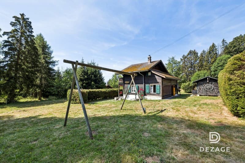 Charming holiday chalet in an idyllic setting in Corbeyrier (14)