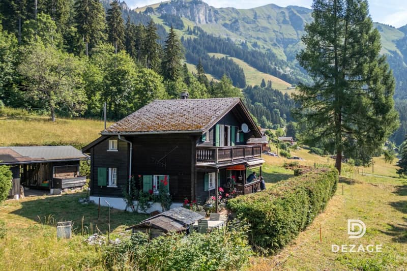 Charming holiday chalet in an idyllic setting in Corbeyrier (3)