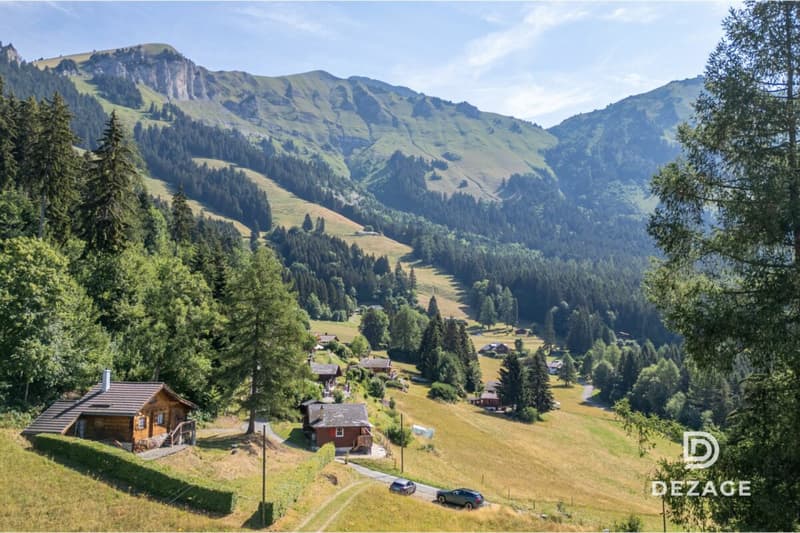 Charming holiday chalet in an idyllic setting in Corbeyrier (15)