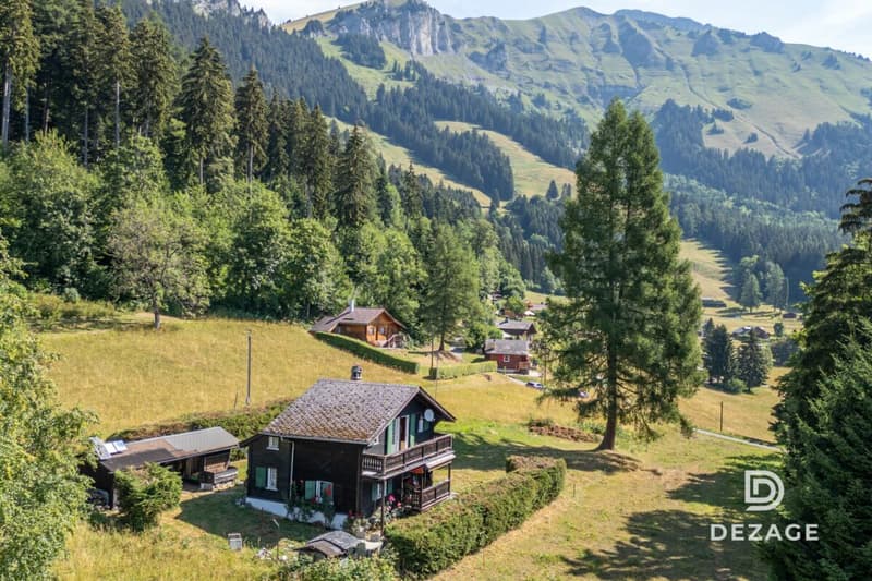Charming holiday chalet in an idyllic setting in Corbeyrier (4)