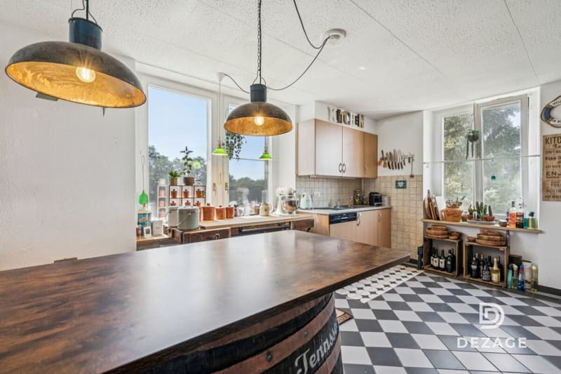 Ancienne école de 1904 entièrement rénovée - 3 appartements et annexe, à la campagne, à 35min de Lausanne (10)