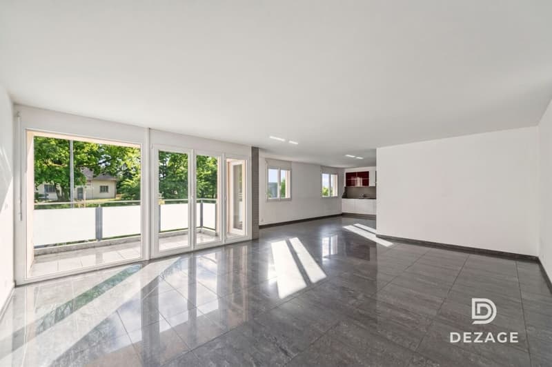 Huge apartment with 4 bedrooms, 2 minutes from schools and shops! (1)
