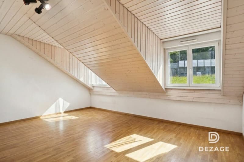 Spacious attic apartment with plenty of light near Lausanne with panoramic view of the lake (8)
