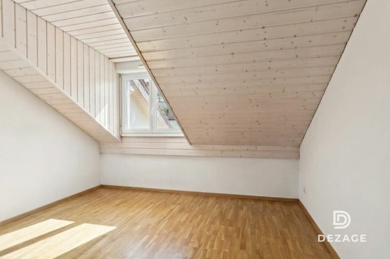 Spacious attic apartment with plenty of light near Lausanne with panoramic view of the lake (9)