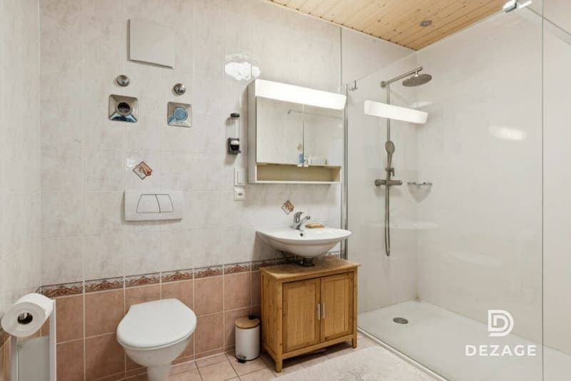 Spacious attic apartment with plenty of light near Lausanne with panoramic view of the lake (10)