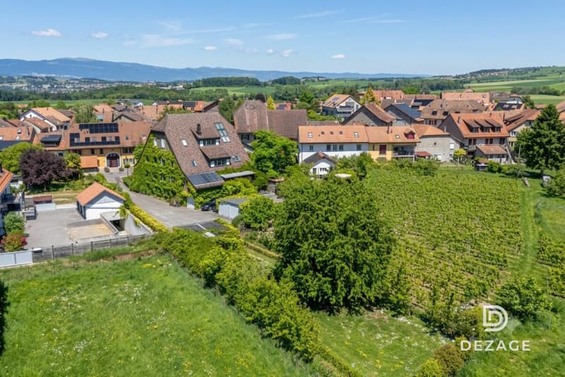 Wohnung mit Charakter und Panoramablick sowie Garten im Herzen des Dorfes! (5)