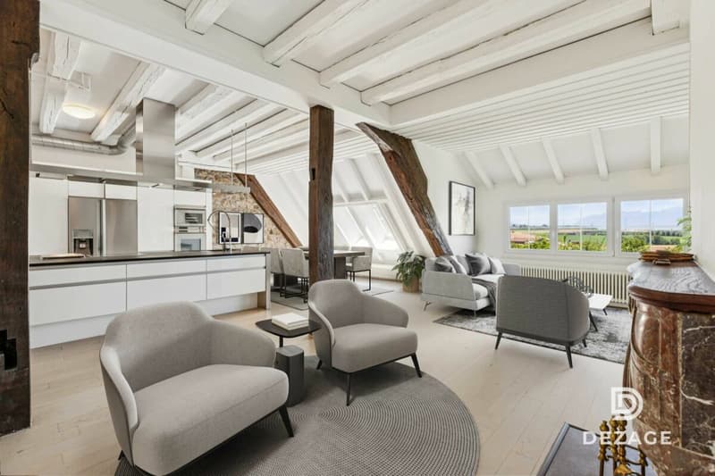 Wohnung mit Charakter und Panoramablick sowie Garten im Herzen des Dorfes! (1)
