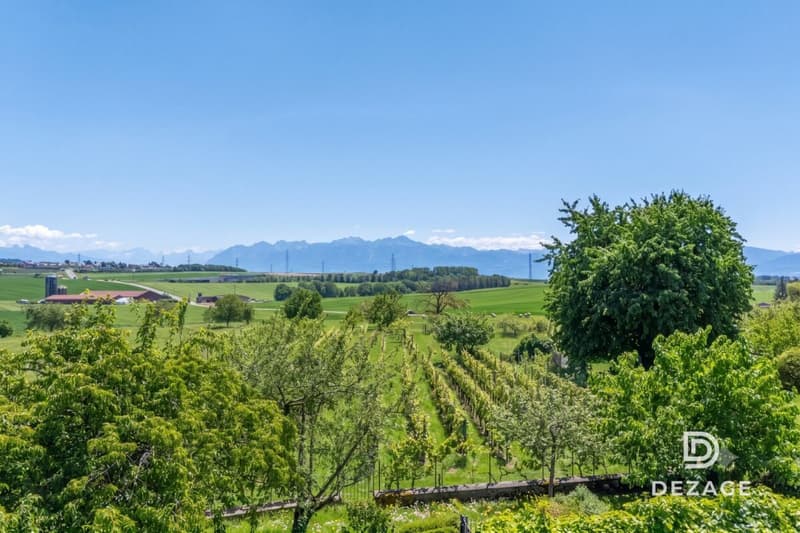Wohnung mit Charakter und Panoramablick sowie Garten im Herzen des Dorfes! (4)