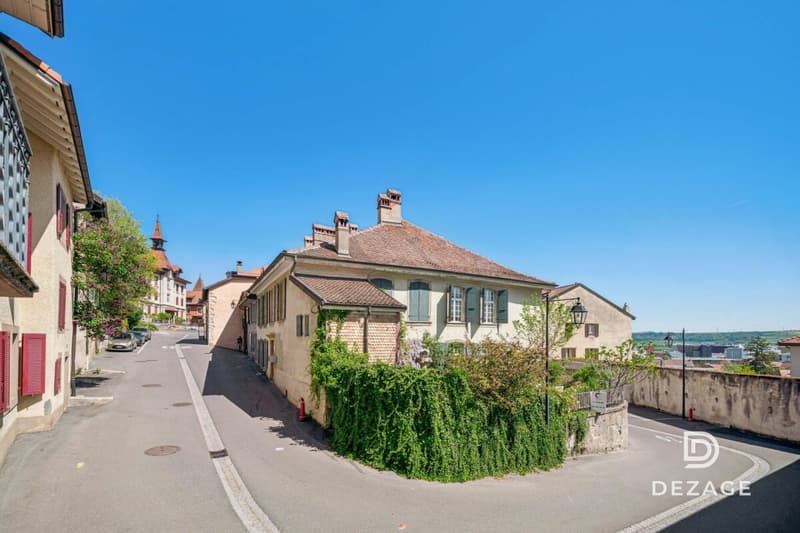 Somptueuse maison de maître rénovée avec soin, avec jardin de ville et au calme absolu (12)