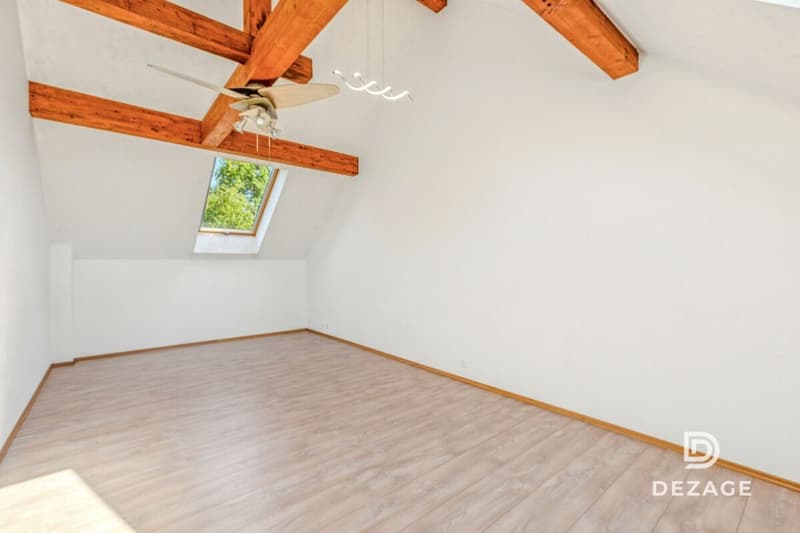 Domaine de 5'561 m² à 15 min de Lausanne (6)