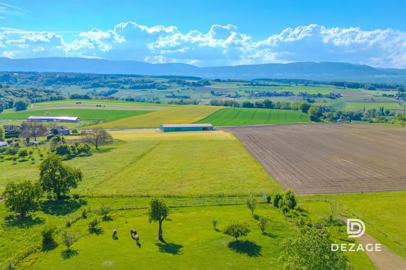 Domaine de 5'561 m² à 15 min de Lausanne (11)