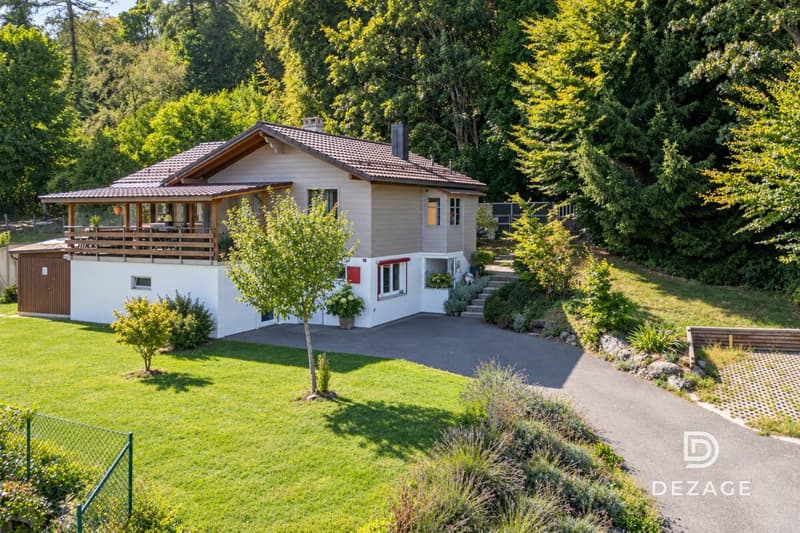 Chalet familial rénové en lisière de forêt à Gimel (1)