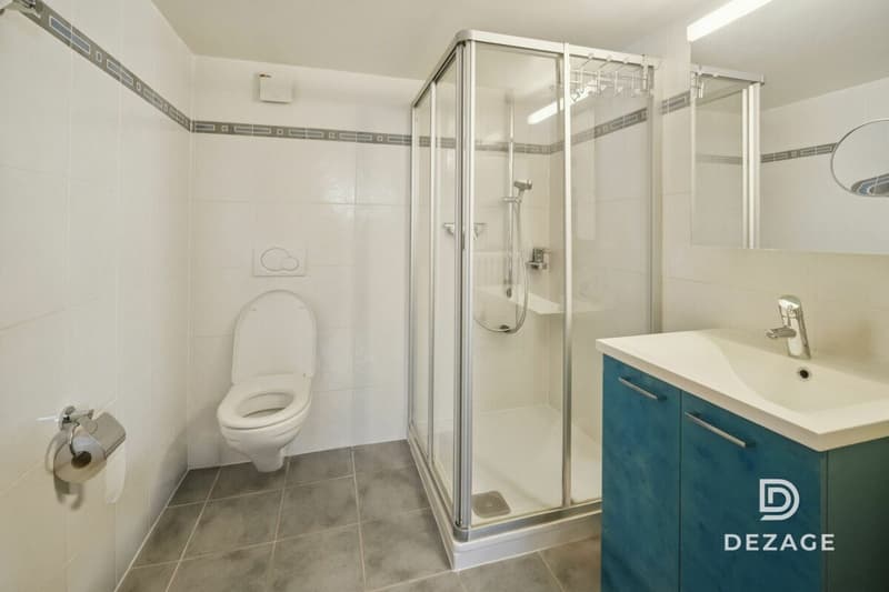 Chalet familial rénové en lisière de forêt à Gimel (14)