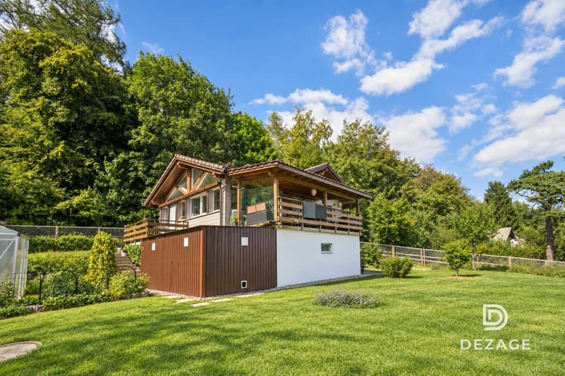 Chalet familial rénové en lisière de forêt à Gimel (15)