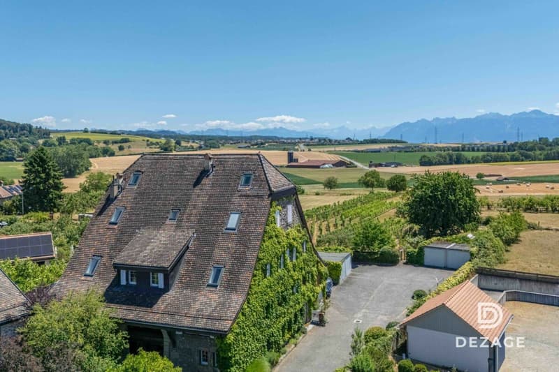 Appartement de caractère avec vue panoramique et jardin à 5 minutes de Crissier ! (1)
