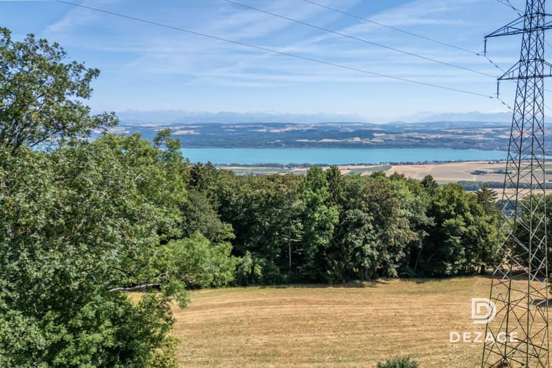 Nature, vue lac et 8'000 CHF/an de revenus passifs : votre future maison à Villars-Burquin (12)
