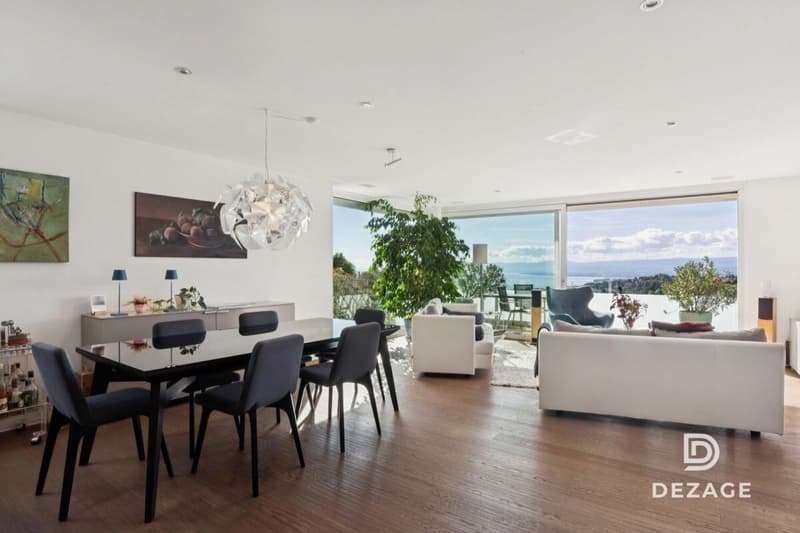 Magnifique duplex esprit maison avec ascenseur direct, jardin et vue imprenable sur le Lac ! (2)